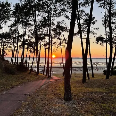 Charmante Maison Aux Abatilles-piscine-8 Pers Dom wakacyjny *